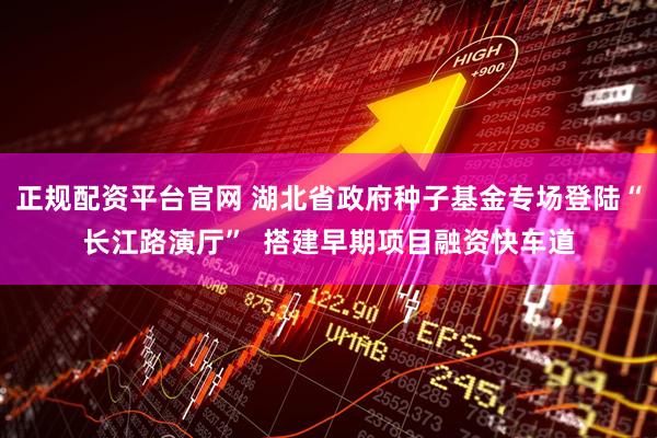正规配资平台官网 湖北省政府种子基金专场登陆“长江路演厅”  搭建早期项目融资快车道