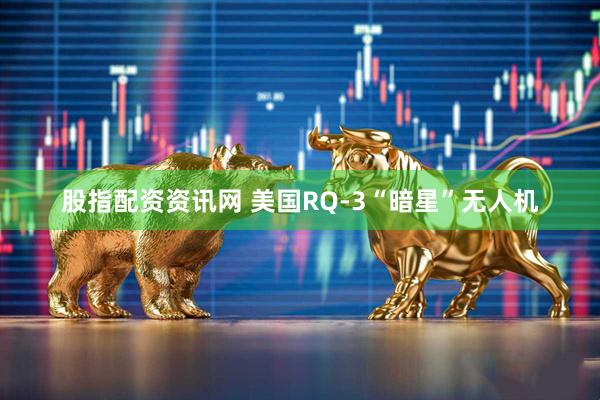 股指配资资讯网 美国RQ-3“暗星”无人机
